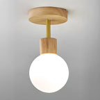 Plafonnier LED élégant à une seule tête pour usage résidentiel