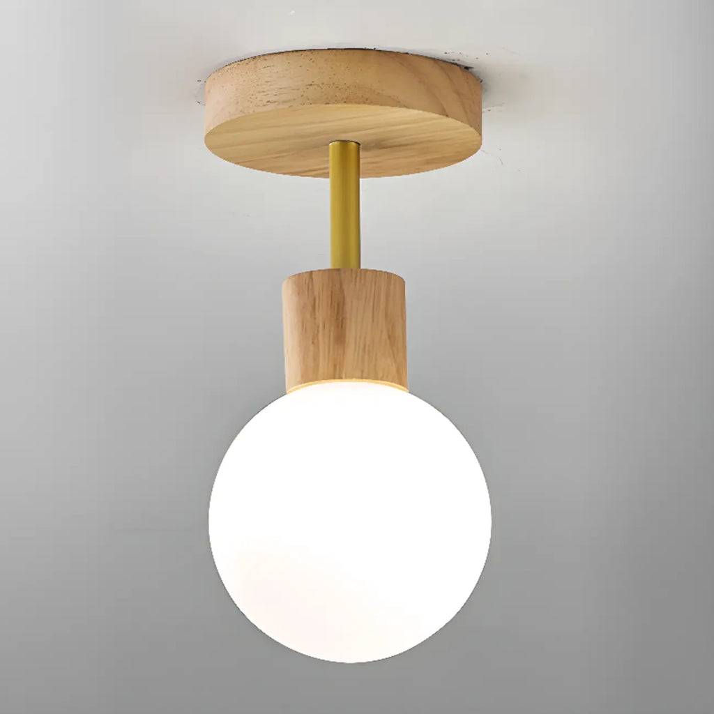 Plafonnier LED élégant à une seule tête pour usage résidentiel