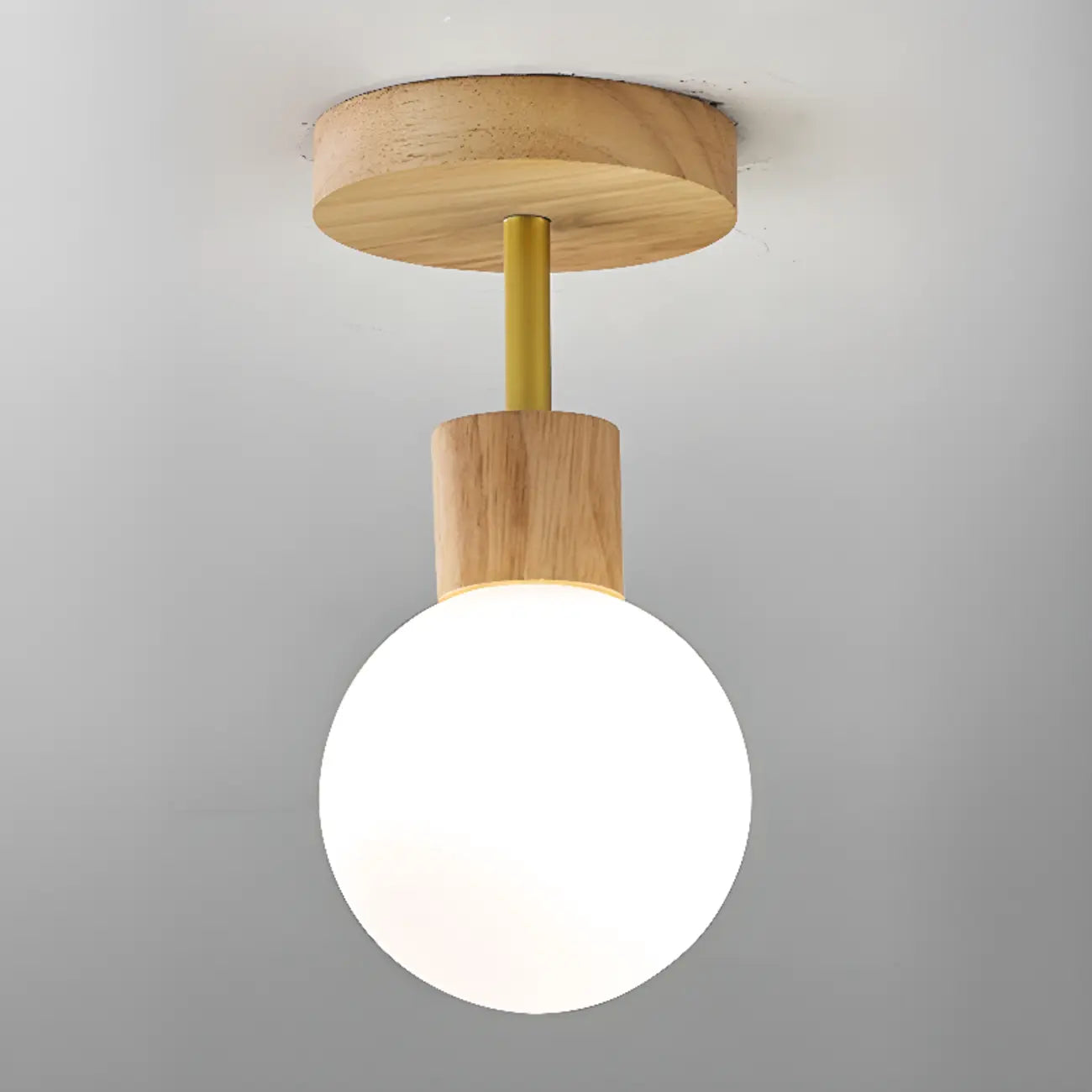 Plafonnier LED élégant à une seule tête pour usage résidentiel