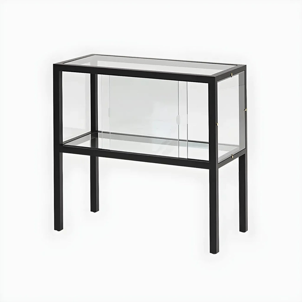Vitrine moderne en verre noir avec cadre en métal