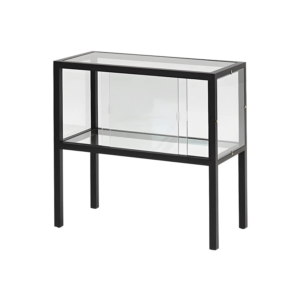 Vitrine moderne en verre noir avec cadre en métal