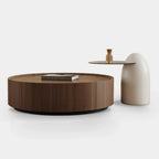 Table basse moderne en bois avec plateau et rangement