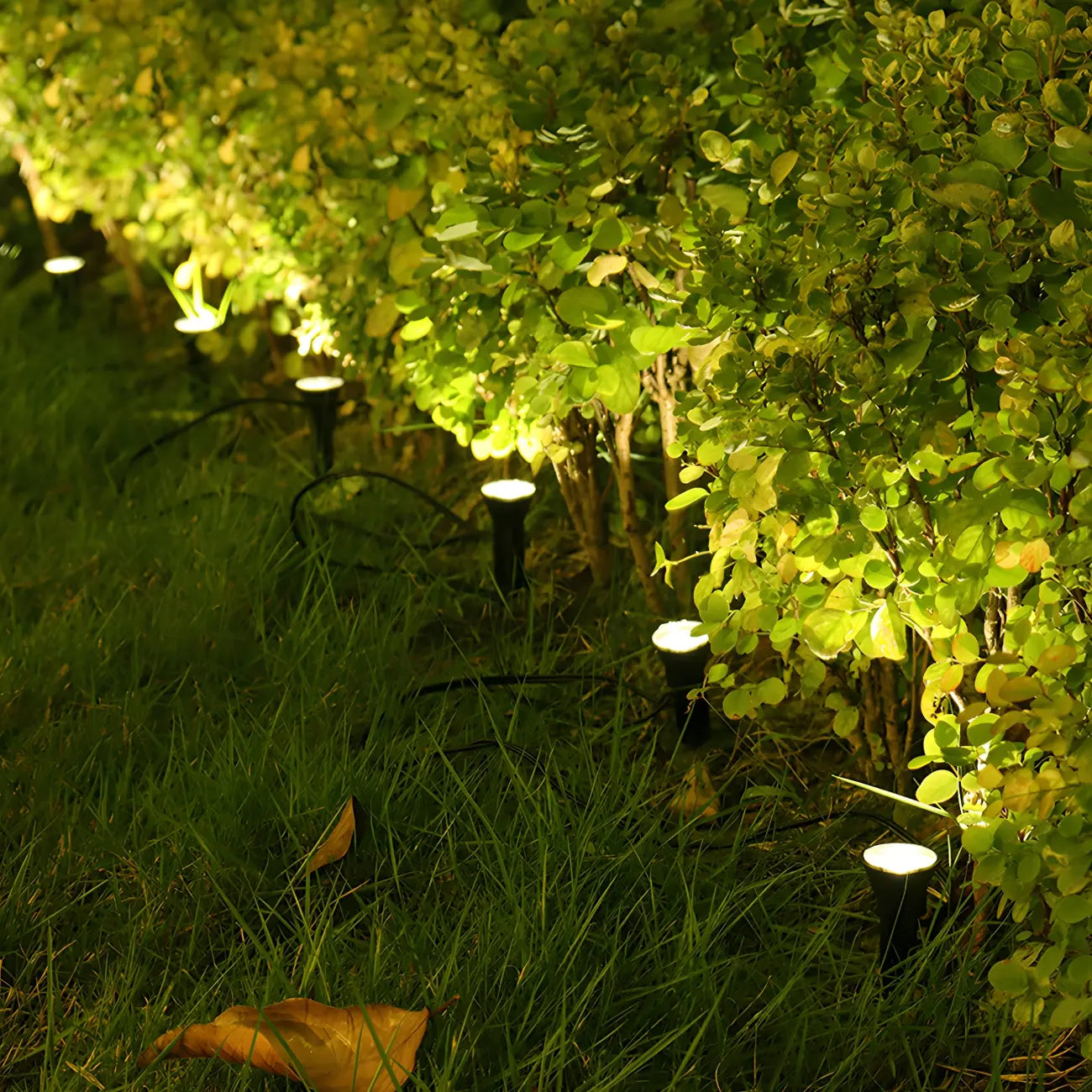 Mini projecteur solaire LED encastrable pour jardin de cour