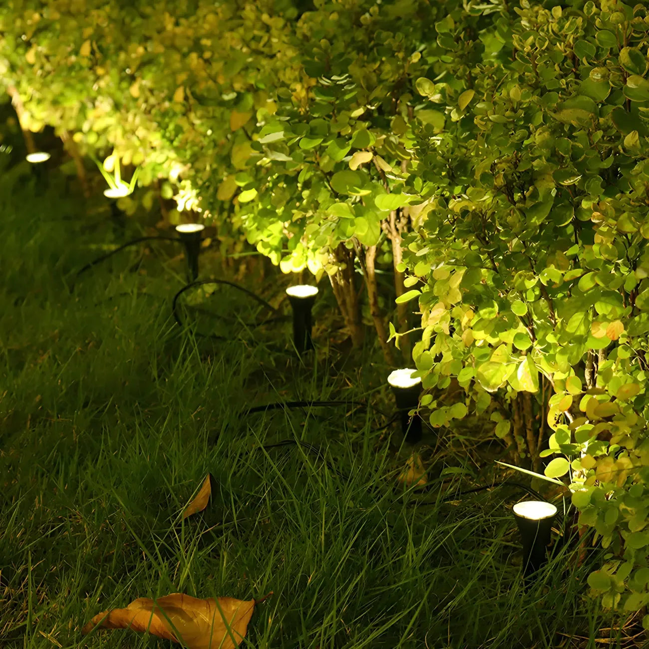 Mini projecteur solaire LED encastrable pour jardin de cour