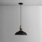 Suspension industrielle en fer blanc dôme pour salon
