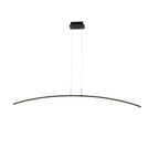 Suspension LED linéaire noire en gel de silice pour îlot de lumière en forme d'arche