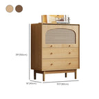 Meuble de rangement moderne du milieu du siècle pour salon, porte vitrée
