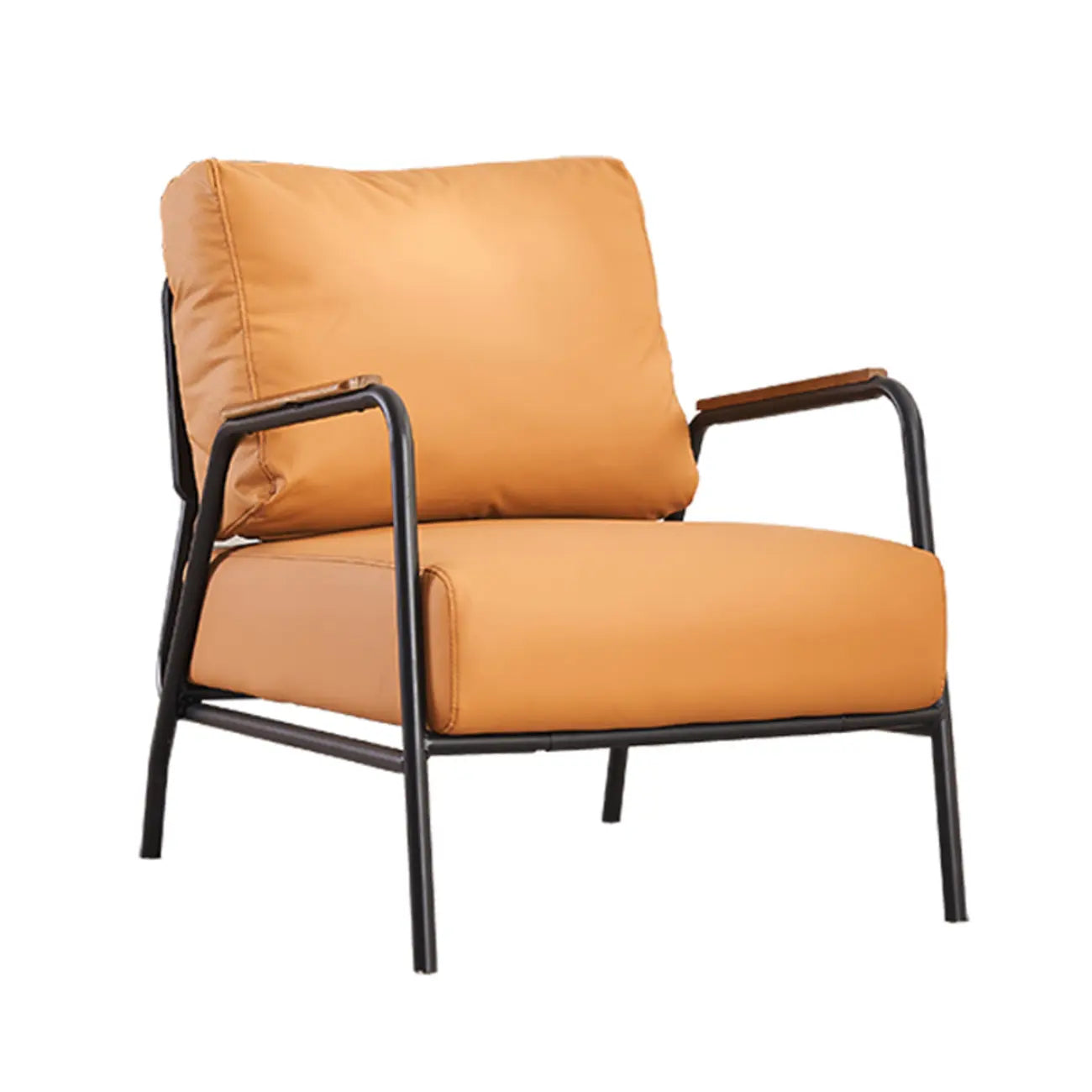 Fauteuil d'appoint moderne en cuir avec coussin et accoudoirs en métal