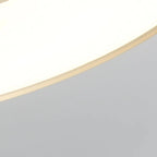 1 plafonnier semi-encastré à DEL à intensité variable pour usage résidentiel