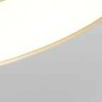 1 plafonnier semi-encastré à DEL à intensité variable pour usage résidentiel