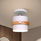 Plafonnier semi-encastré moderne cylindrique en fer vert