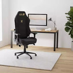 AMERLIFE Sedia da gaming ergonomica per PC - Supporto lombare Poggiatesta Braccioli 4D Sedia da computer