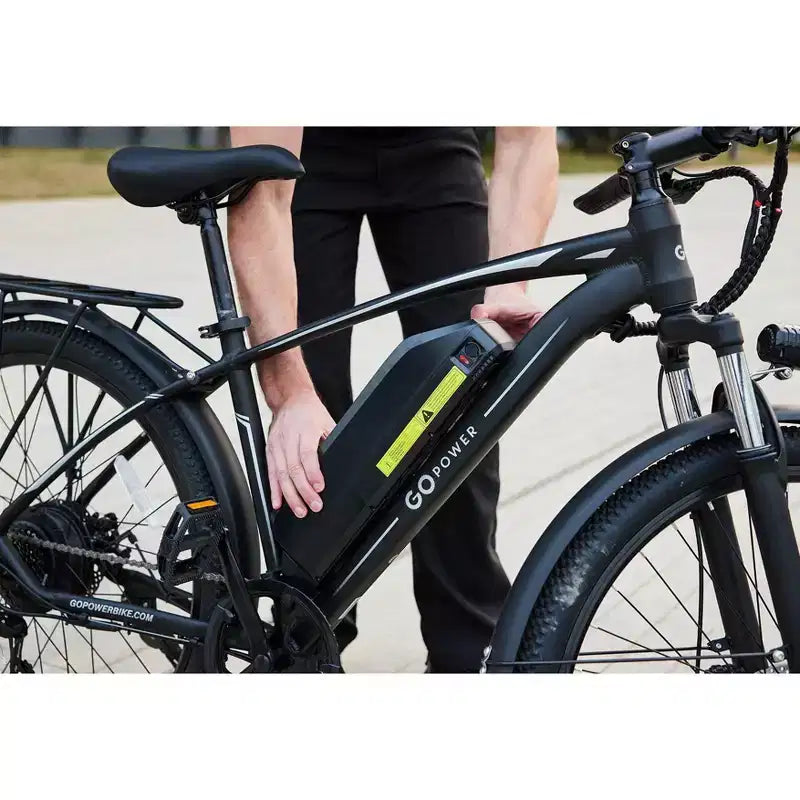 Bici elettrica GoPowerBike GoFalcon per adulti | Scatola aperta