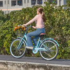 VEVOR Cruiser Bike, 1 velocità, Bici da spiaggia Cruiser da 26 pollici azzurra con cestino di grande capacità e portapacchi posteriore, Bici Cruiser sicura e robusta, azzurra