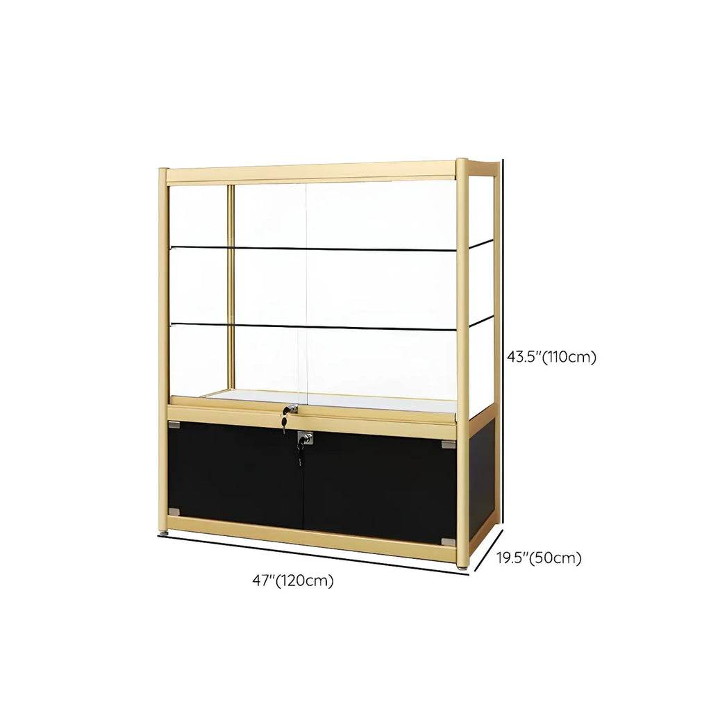 Vitrine rectangulaire en métal doré