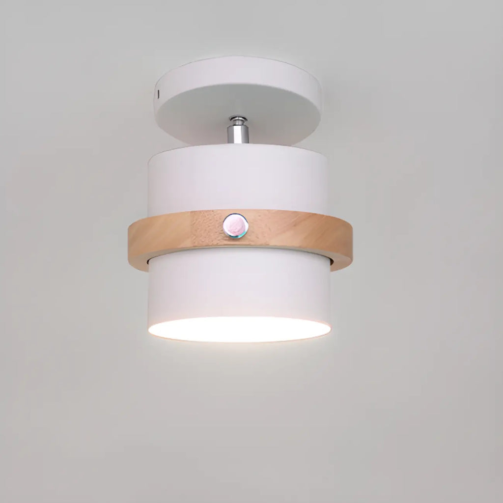 Plafonnier semi-encastré moderne cylindrique en fer vert