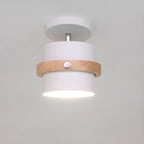 Plafonnier semi-encastré moderne cylindrique en fer vert