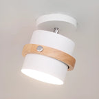 Plafonnier semi-encastré moderne cylindrique en fer vert