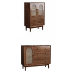 Meuble de rangement de salon en noyer de style moderne du milieu du siècle