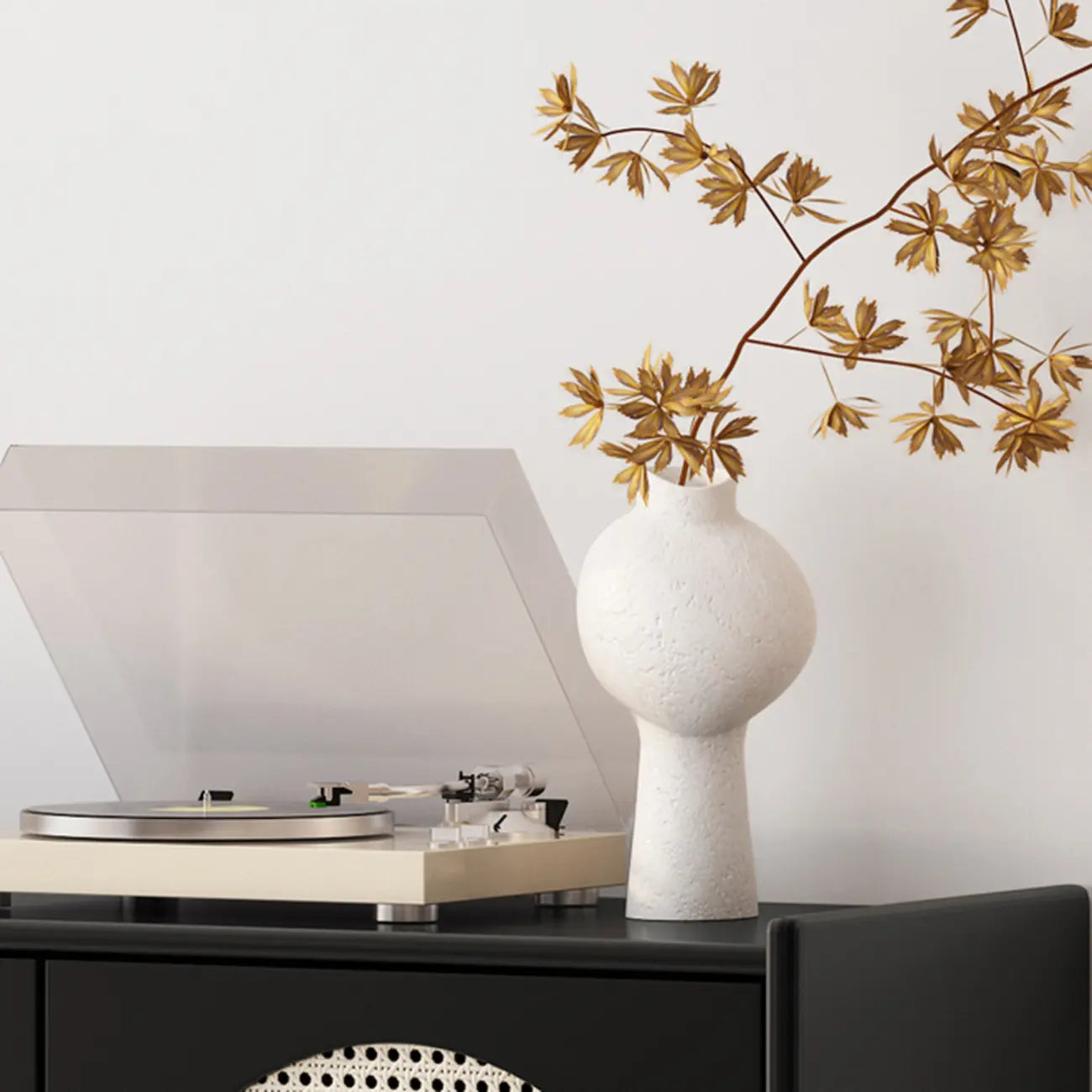 Meuble moderne en bois, métal et rotin avec base en métal pour salon