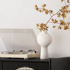 Meuble moderne en bois, métal et rotin avec base en métal pour salon