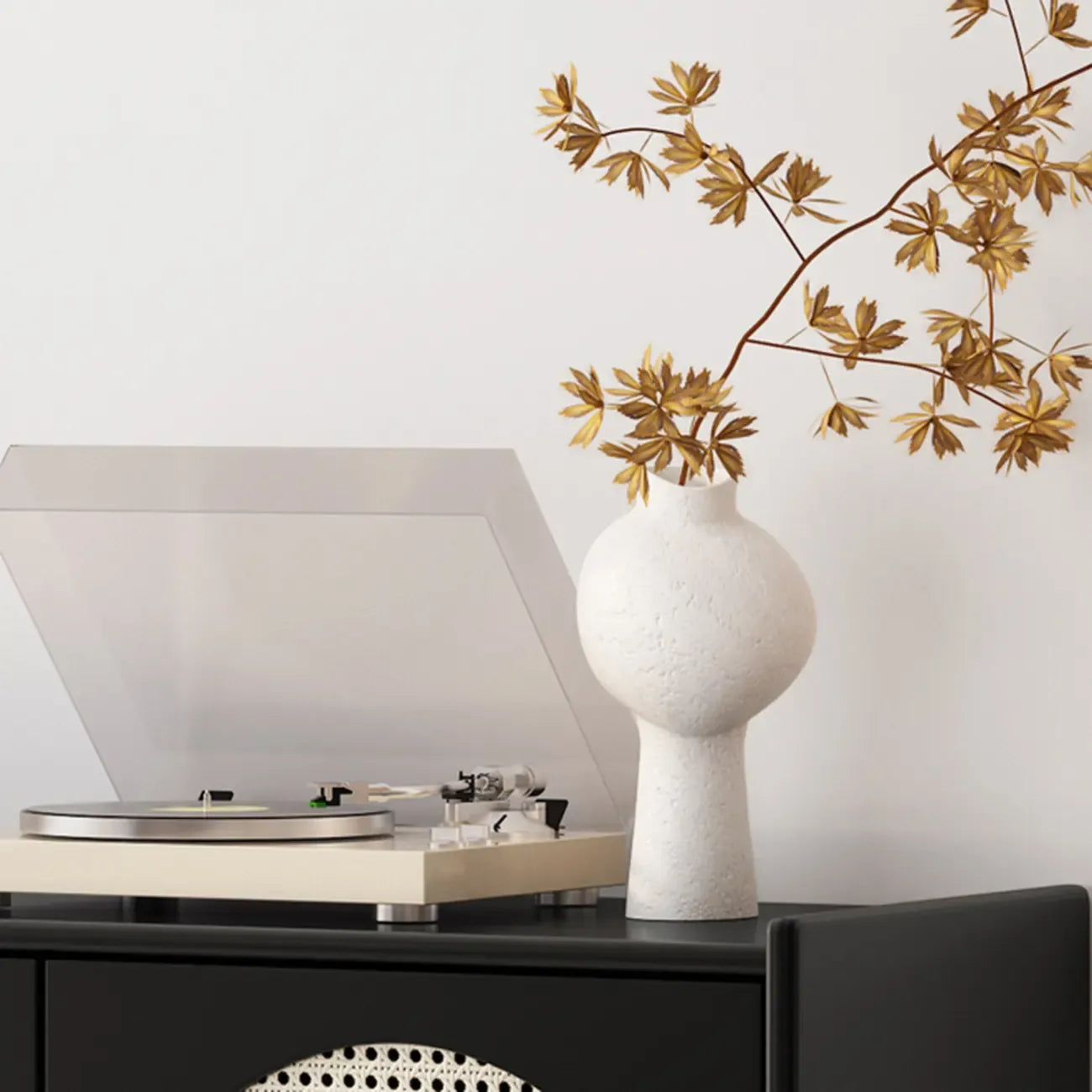 Meuble moderne en bois, métal et rotin avec base en métal pour salon