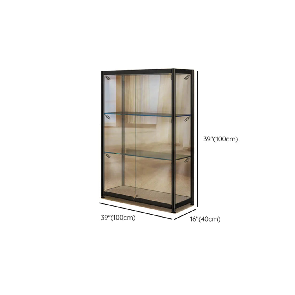 Vitrine moderne en verre noir transparent avec éclairage LED réglable