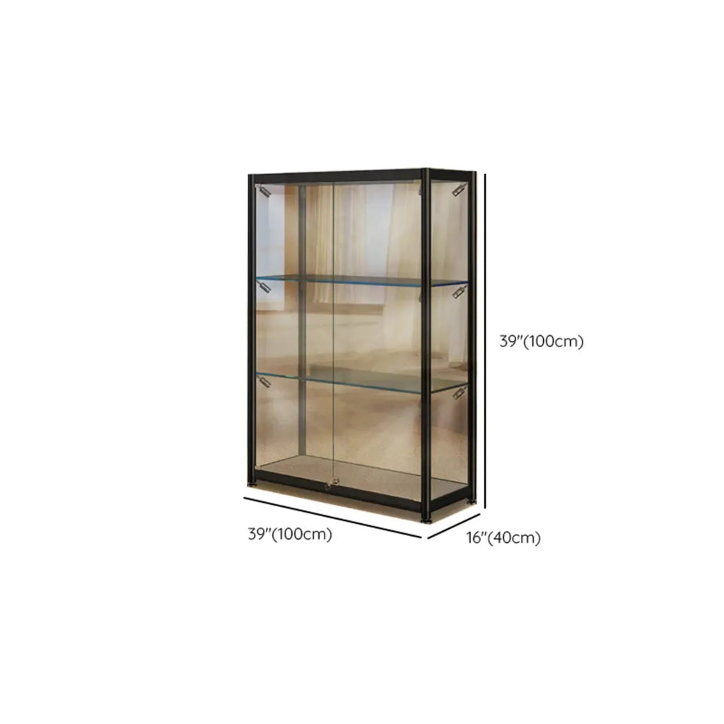 Vitrine moderne en verre noir transparent avec éclairage LED réglable