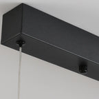 Suspension minimaliste noire à 10 lumières pour îlot central, avec télécommande et variateur