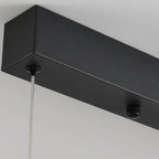 Suspension minimaliste noire à 10 lumières pour îlot central, avec télécommande et variateur