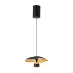 Suspension LED moderne à 2 lumières en acrylique noir, à intensité variable