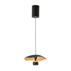 Suspension LED moderne à 2 lumières en acrylique noir, à intensité variable