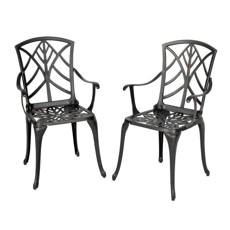 Ensemble de 2 chaises de patio extérieures, en aluminium coulé, noir avec bordure dorée