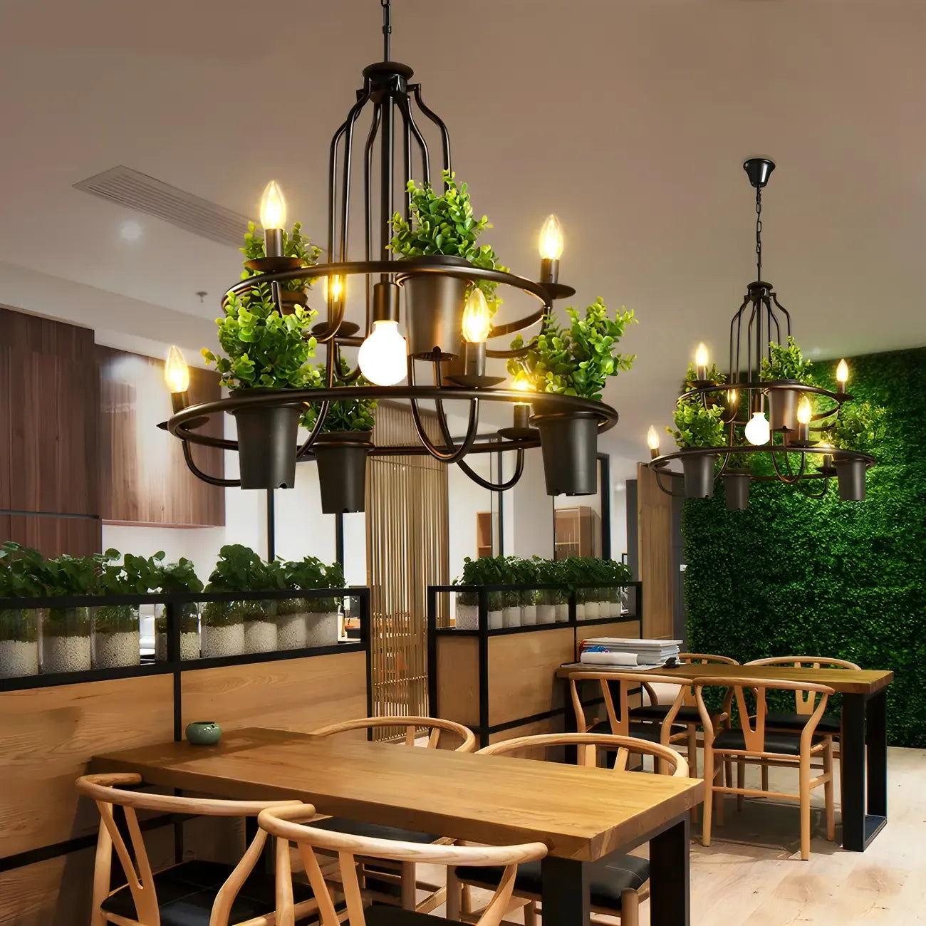 Lustre moderne circulaire en métal noir pour plantes