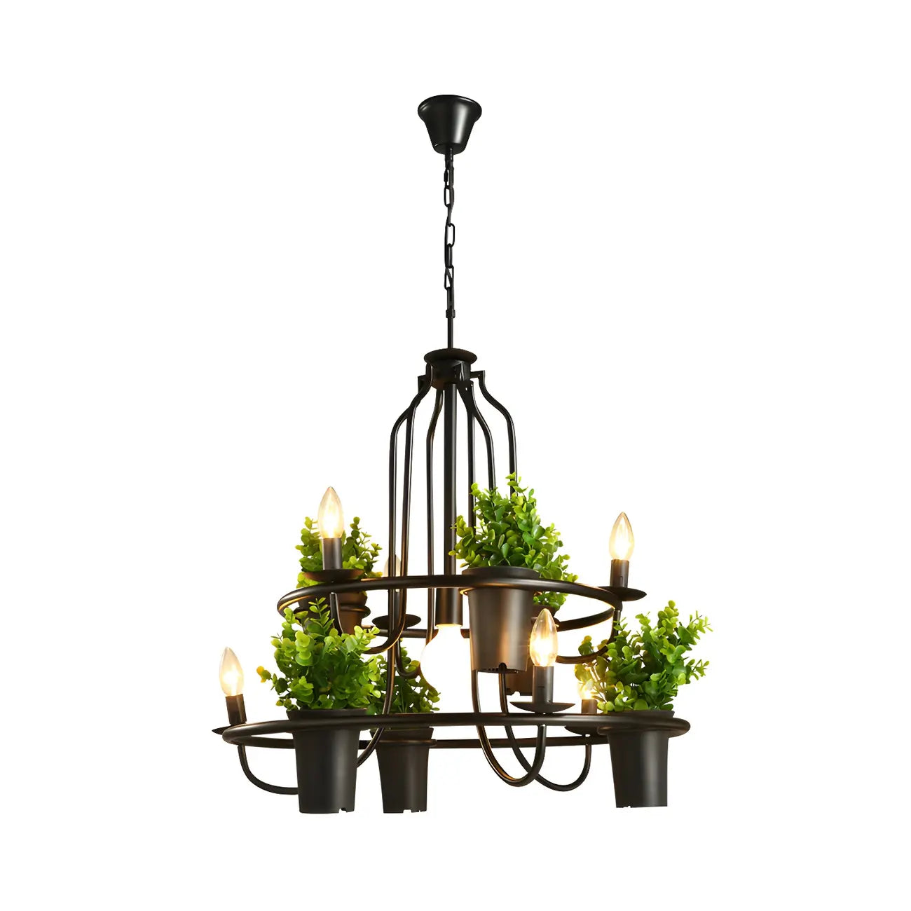 Lustre moderne circulaire en métal noir pour plantes