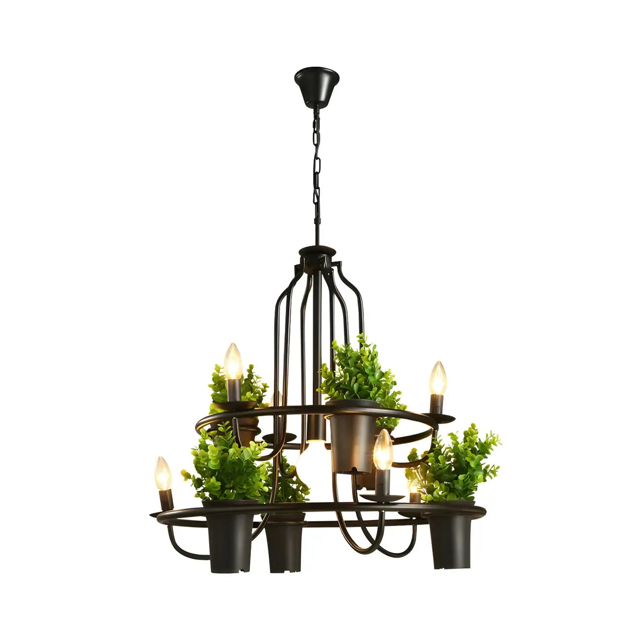 Lustre moderne circulaire en métal noir pour plantes