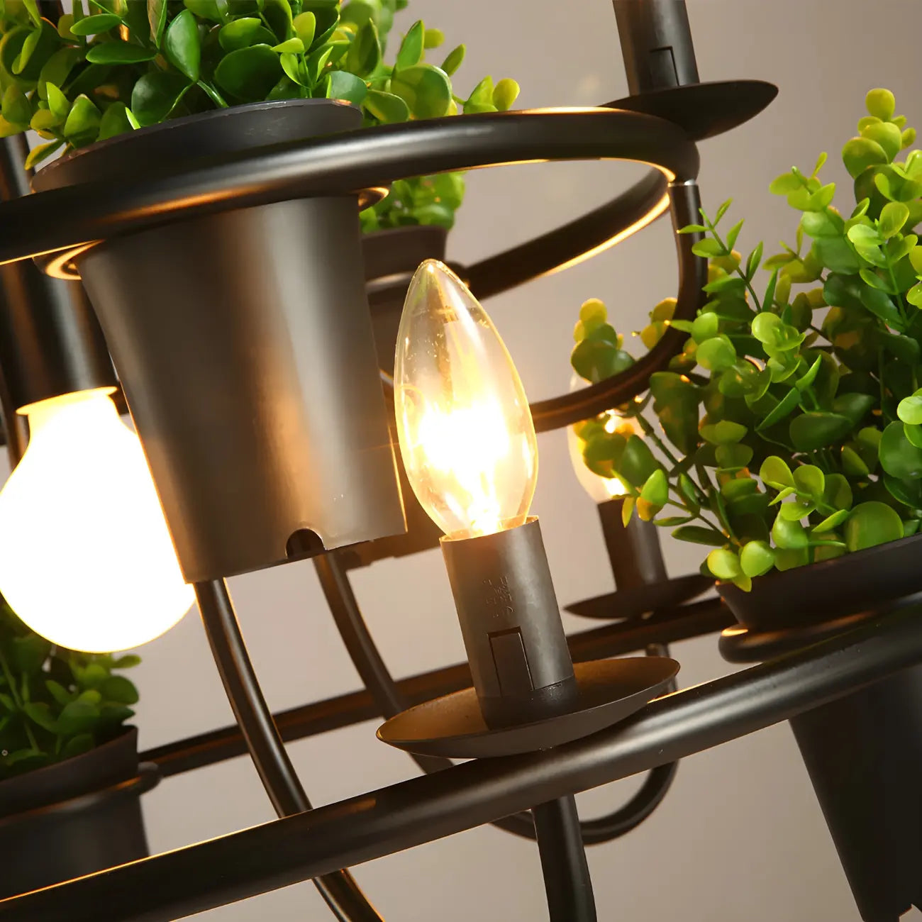 Lustre moderne circulaire en métal noir pour plantes
