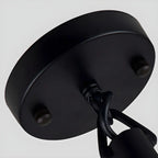Suspension industrielle en rotin, métal noir et corde de chanvre