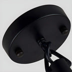 Suspension industrielle en rotin, métal noir et corde de chanvre
