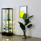 Vitrine moderne en verre noir avec étagères réglables