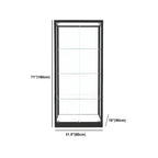 Vitrine moderne en verre noir avec étagères réglables