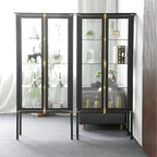 Vitrine élégante à cadre en métal noir et verre