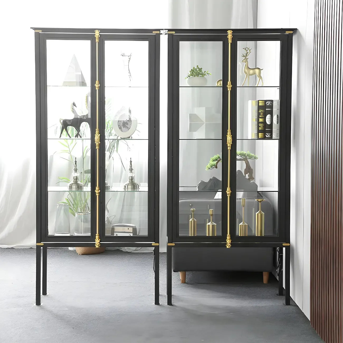Vitrine élégante à cadre en métal noir et verre