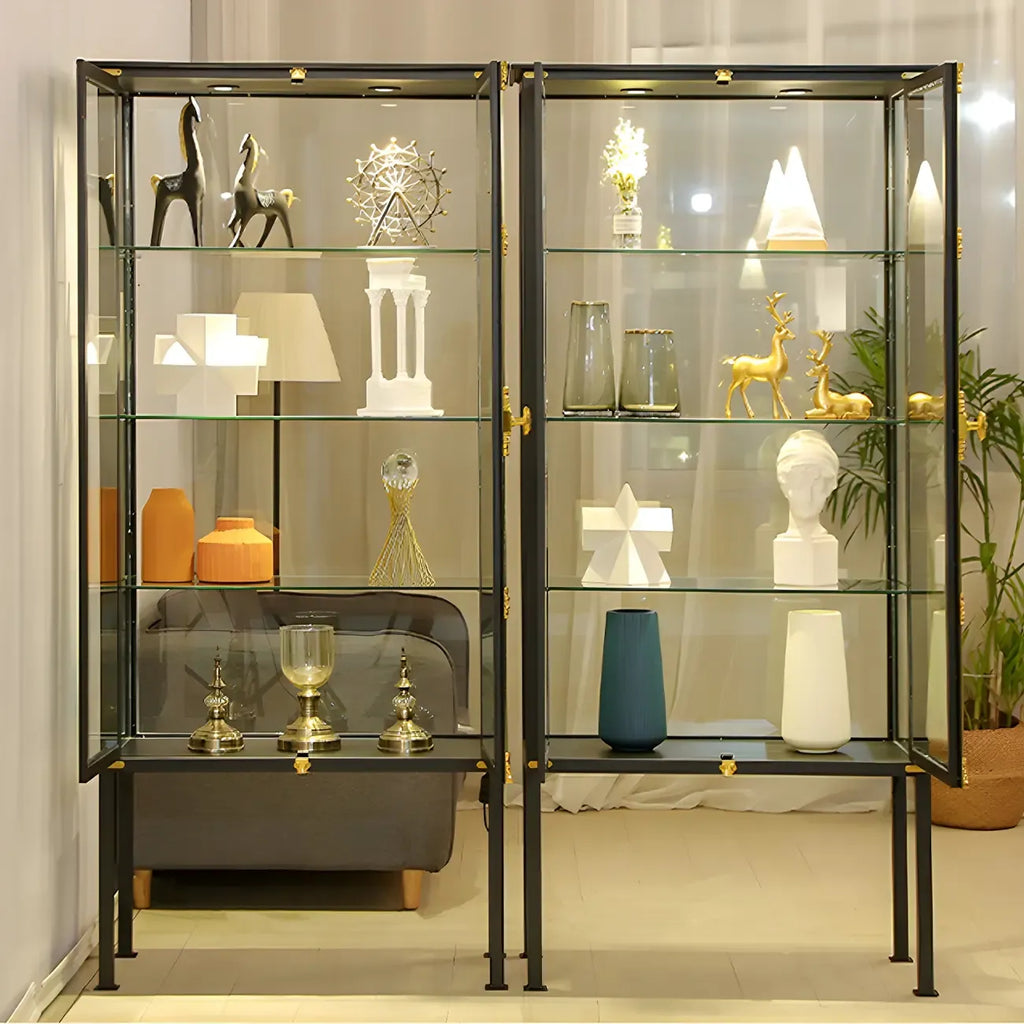 Vitrine élégante à cadre en métal noir et verre