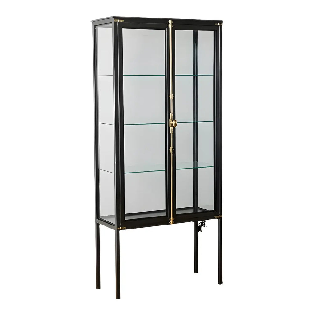 Vitrine élégante à cadre en métal noir et verre