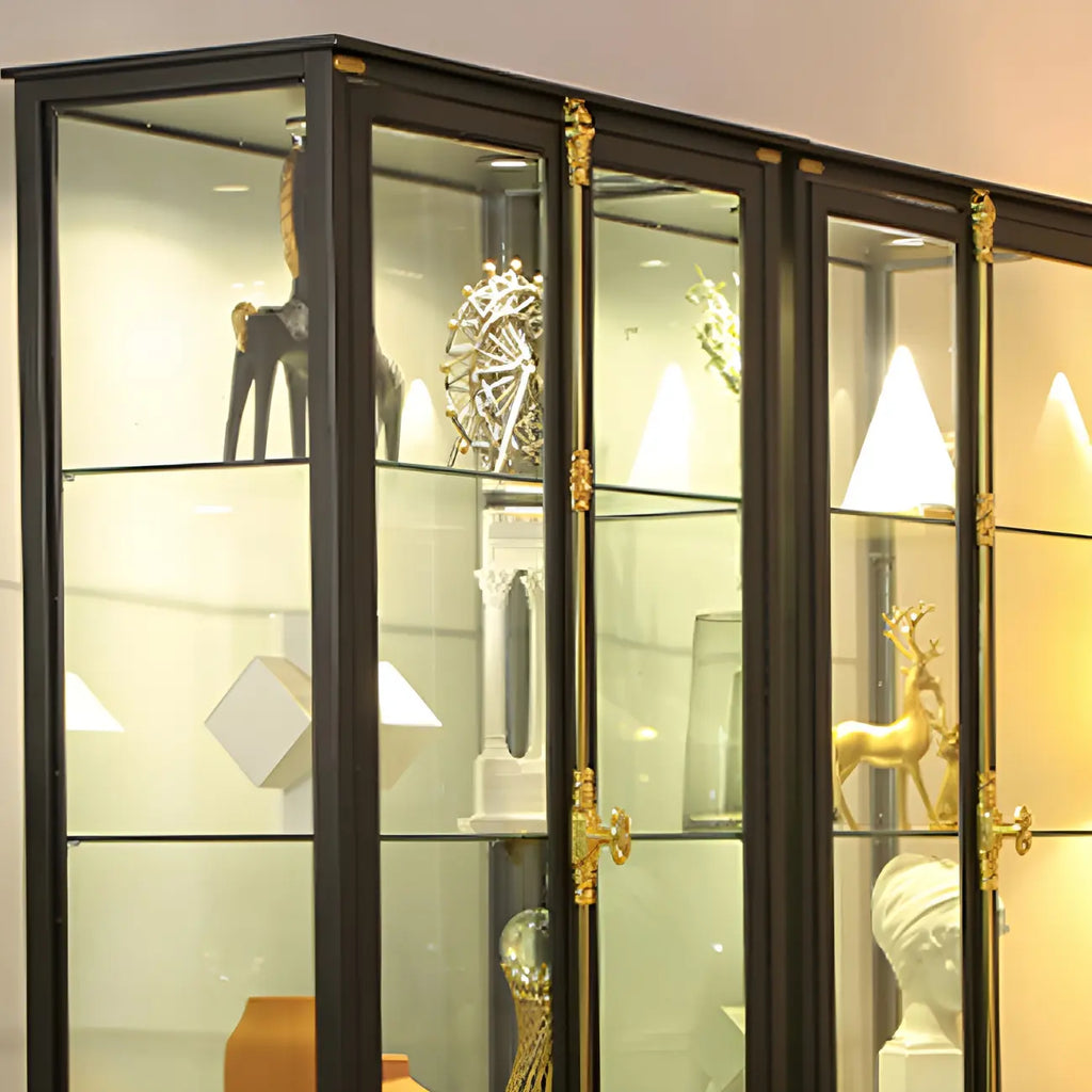 Vitrine élégante à cadre en métal noir et verre