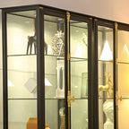 Vitrine élégante à cadre en métal noir et verre