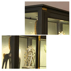 Vitrine élégante à cadre en métal noir et verre