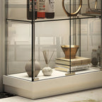 Vitrine haute en verre noir transparent avec éclairage