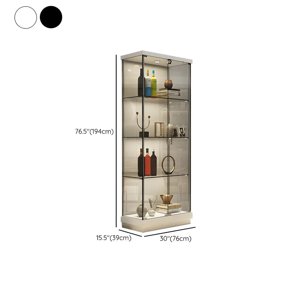 Vitrine haute en verre noir transparent avec éclairage